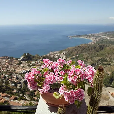 Couette-café Casarupilio